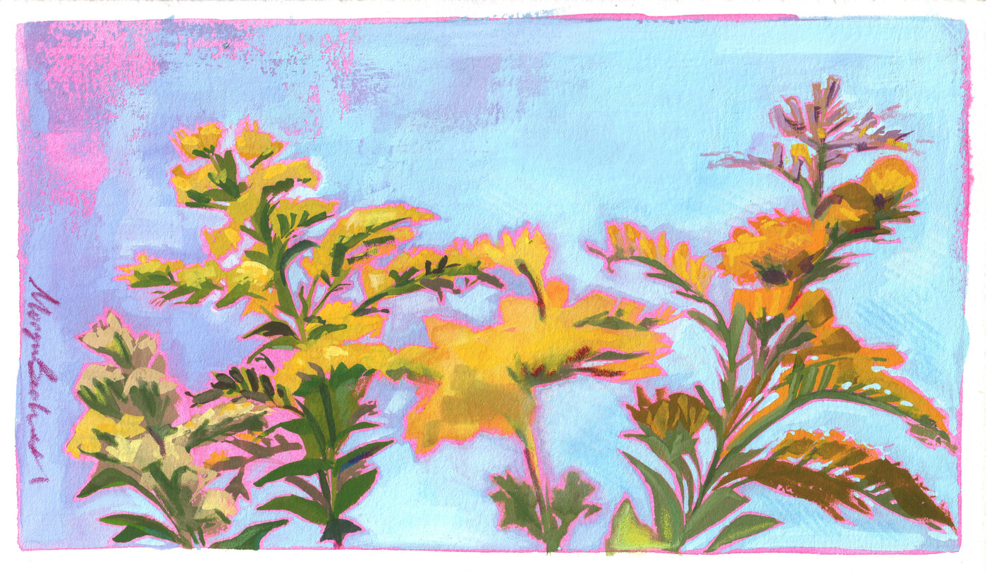Goldenrod